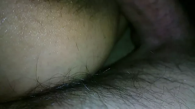 جانور مو sex مادروپسر قرمز برای بازی با او انتخابی دارد